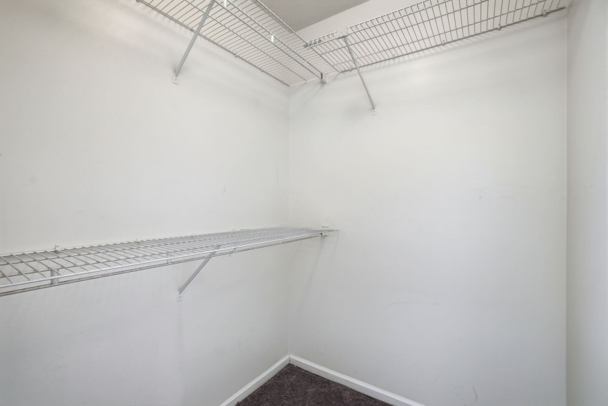 Building Photo - 2107 Geralo Ln