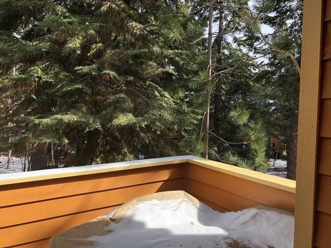 Building Photo - A quiet upstairs location with forest views
