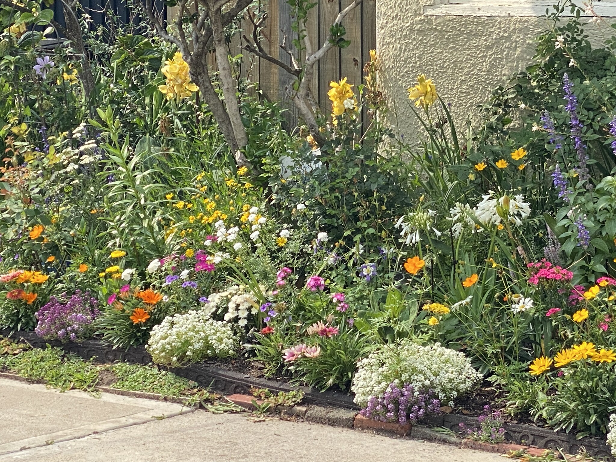 Layers of flowers - 812 Branard St