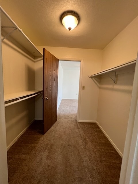 Building Photo - 323 Norbeck Ct