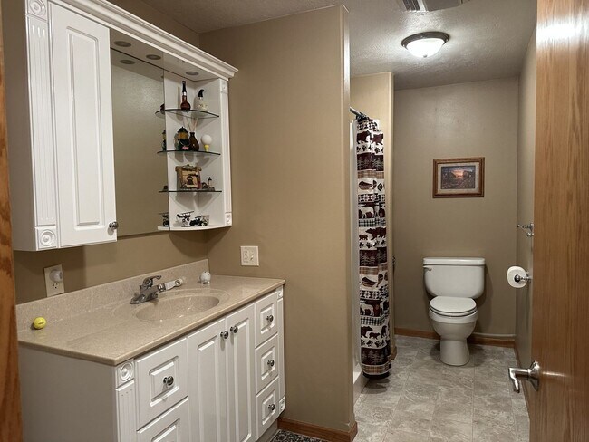 Building Photo - Spacious 3 Bed / 3 Bath Duplex in Sanborn, IA