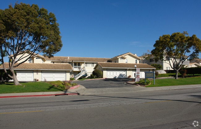 Primary Photo - Vista Palomar