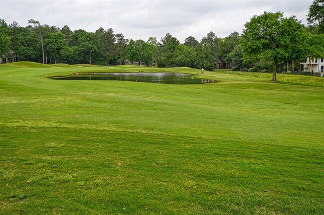 Building Photo - 41 Sweetleaf Ct