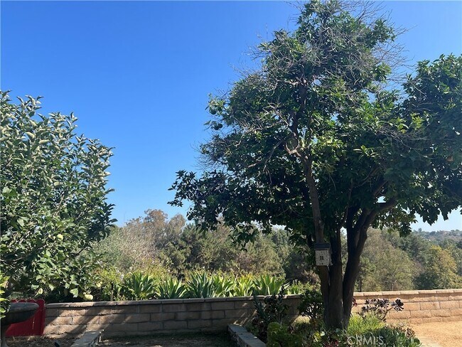 Building Photo - 24822 Via San Fernando