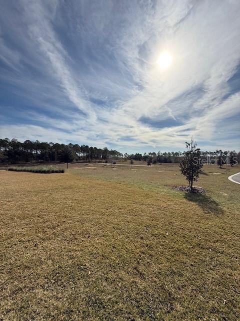 Building Photo - 9207 Gran Teatro Dr