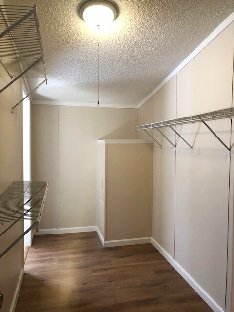 Building Photo - 1416 John Lutz Cir
