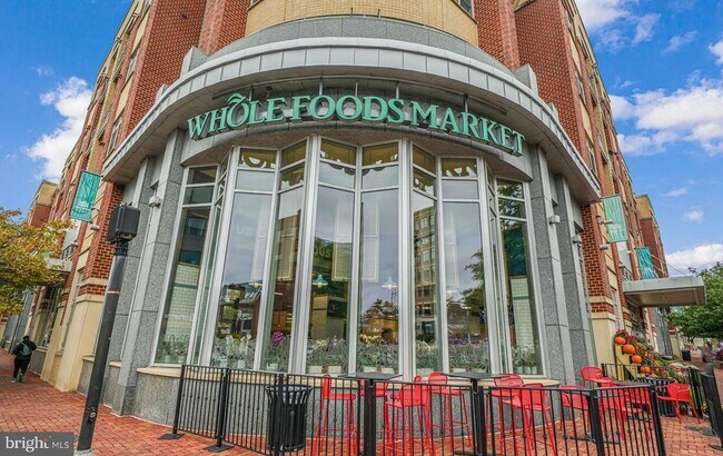 Building Photo - 309 Holland Ln