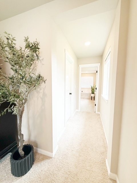 Building Photo - 2405 NE Waterlily Wy