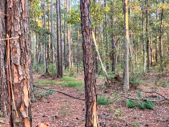 Building Photo - 164 Golden Meadow Dr