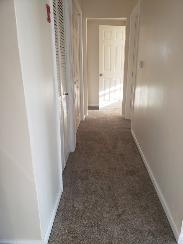 Building Photo - 23 Budd Ave