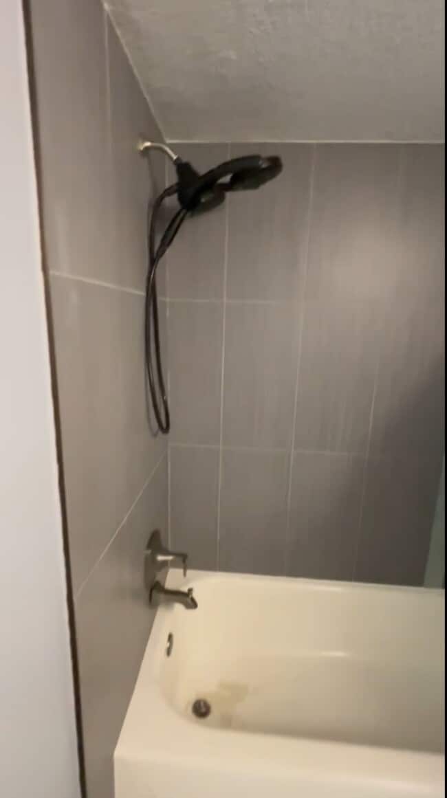 Building Photo - 4127 Dolphin Dr