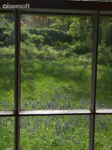 Room # 4 with private bath - 4427 Nebraska Ave NW