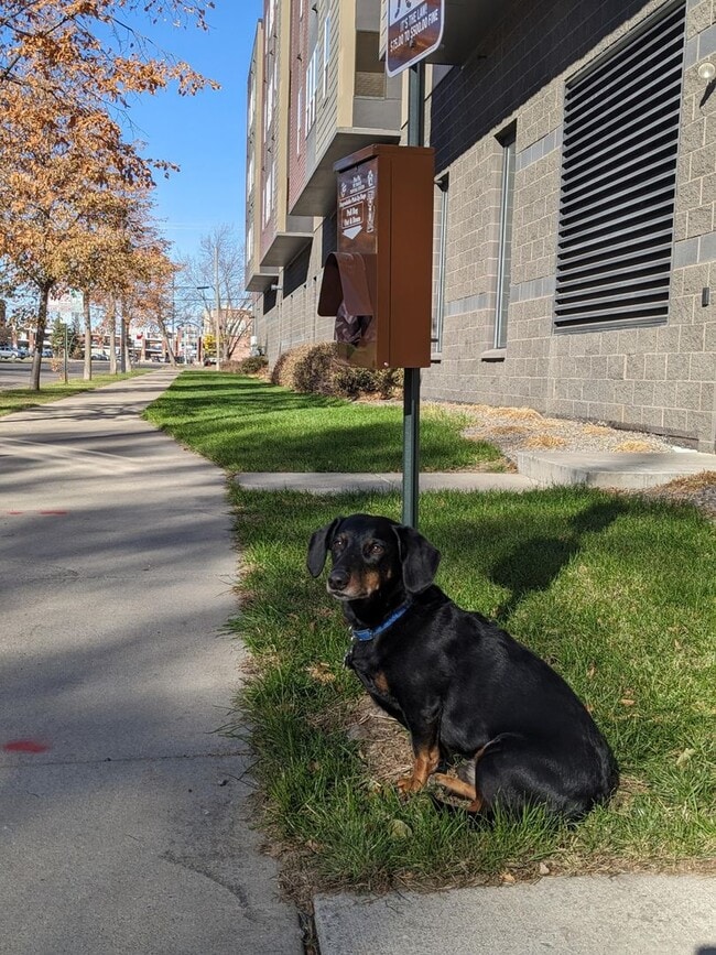 Interior Photo - Cloud on Fifth