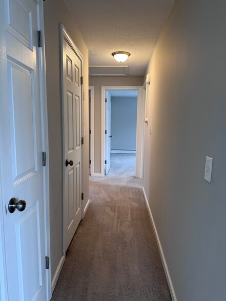 Building Photo - 435 Elmwood Dr