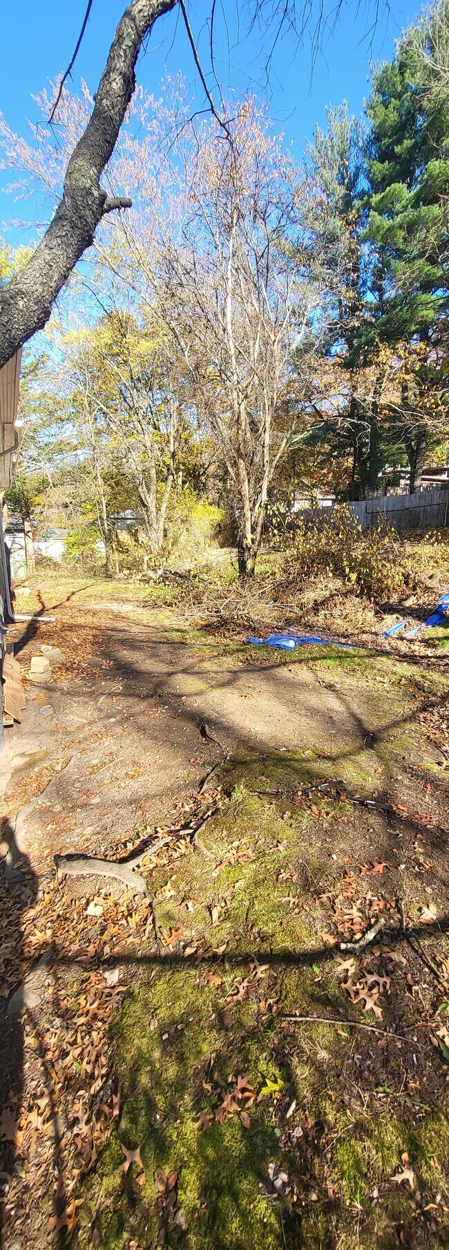 Building Photo - 56 Victory Dr