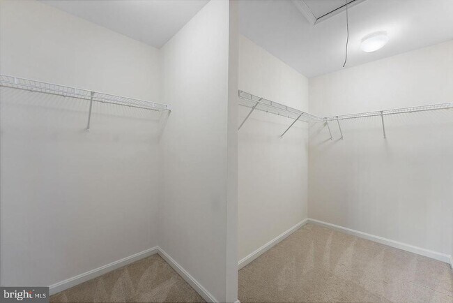 Building Photo - 2798 Burrough Hill Ln