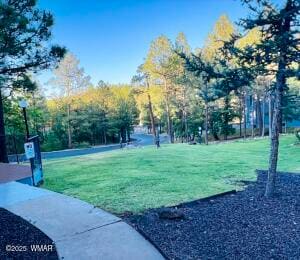 Building Photo - 2700 S White Mountain Rd