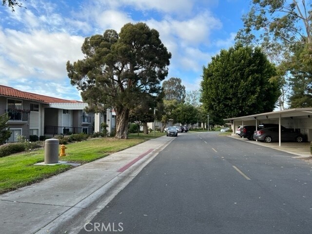 Building Photo - 3300 Via Carrizo