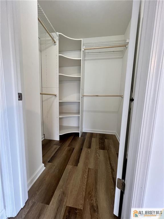 Building Photo - 392 Lackland Ave