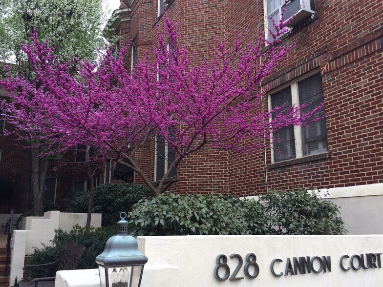 Building Photo - 828 N Elm St