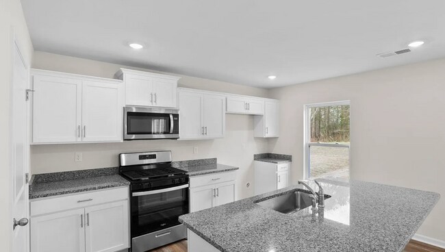 Building Photo - Brand New Spacious Home Move In Ready Now!