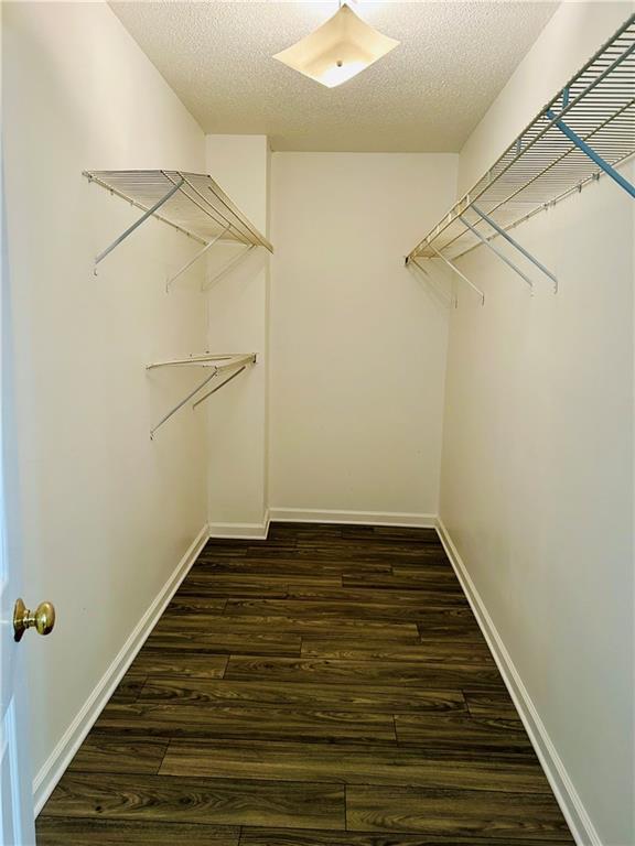 Building Photo - 2580 Binghampton Ln
