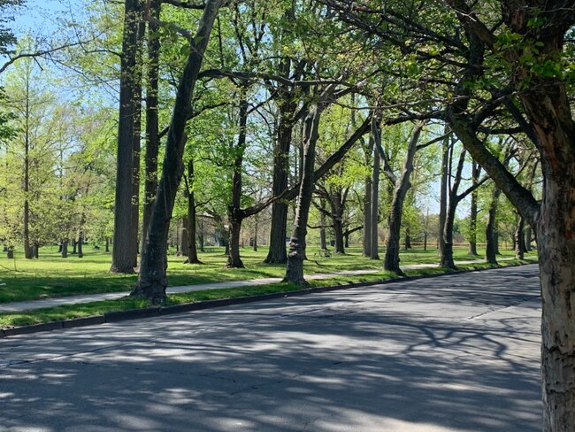 Building Photo - 1114 Stuyvesant Ave