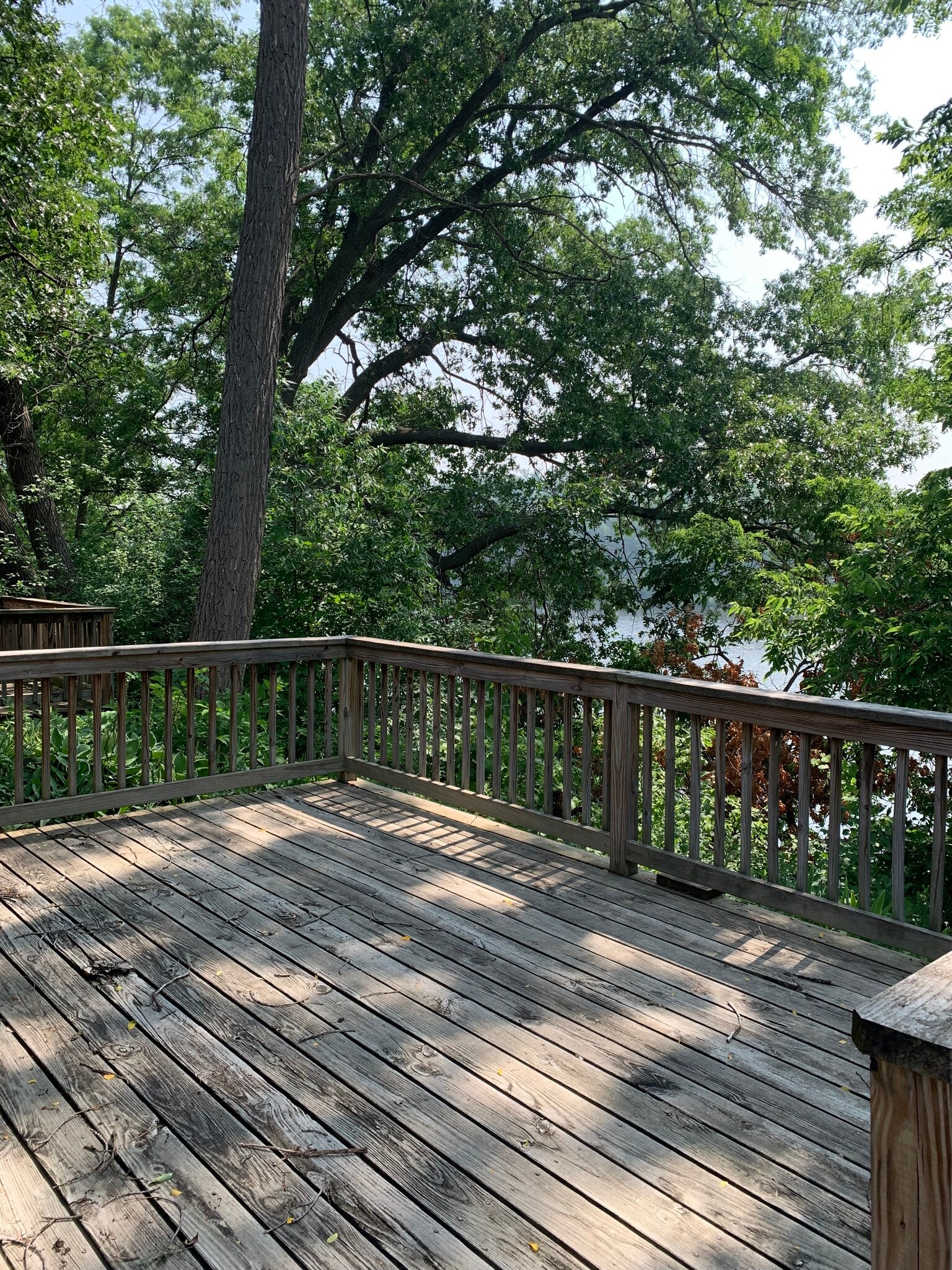 Deck - 317 River St