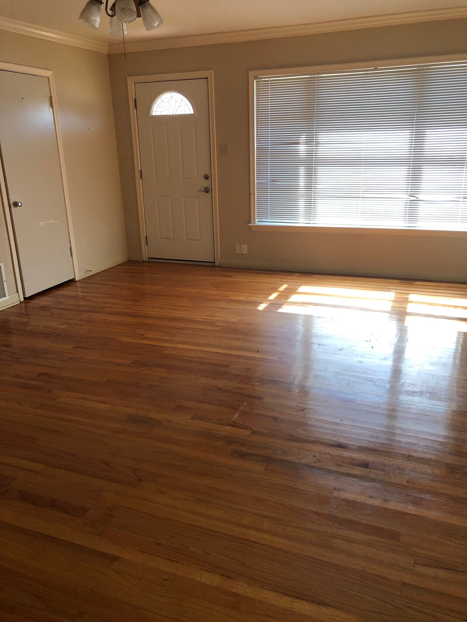 Living room - 1529 Woodland Dr