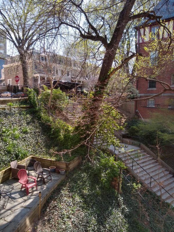 Building Photo - 1623 Lanier Pl NW