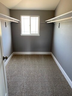 Walk in closet - 5145 Heavenly Ridge Ln