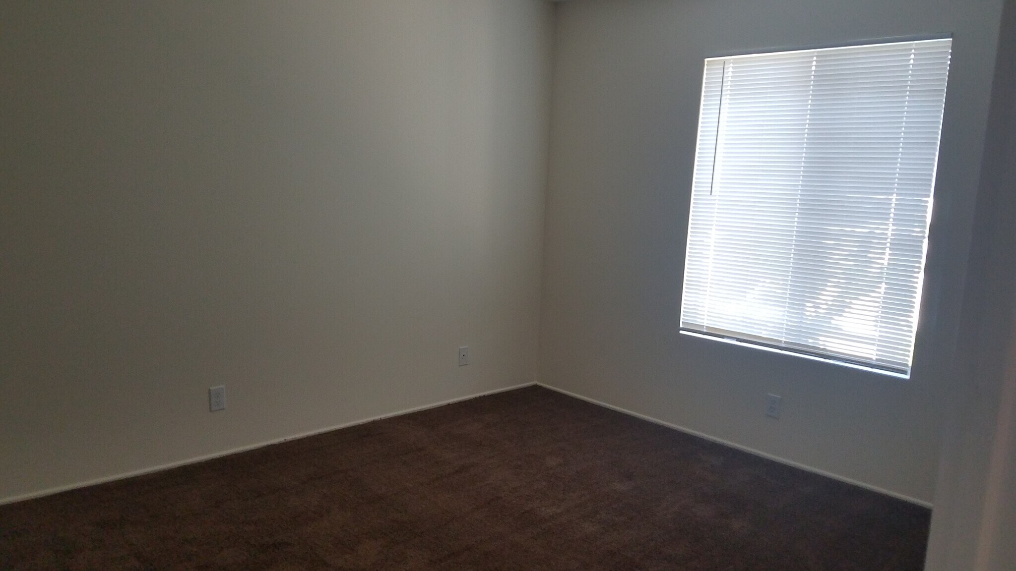 Rear Bedroom - 768 Freeman Ave