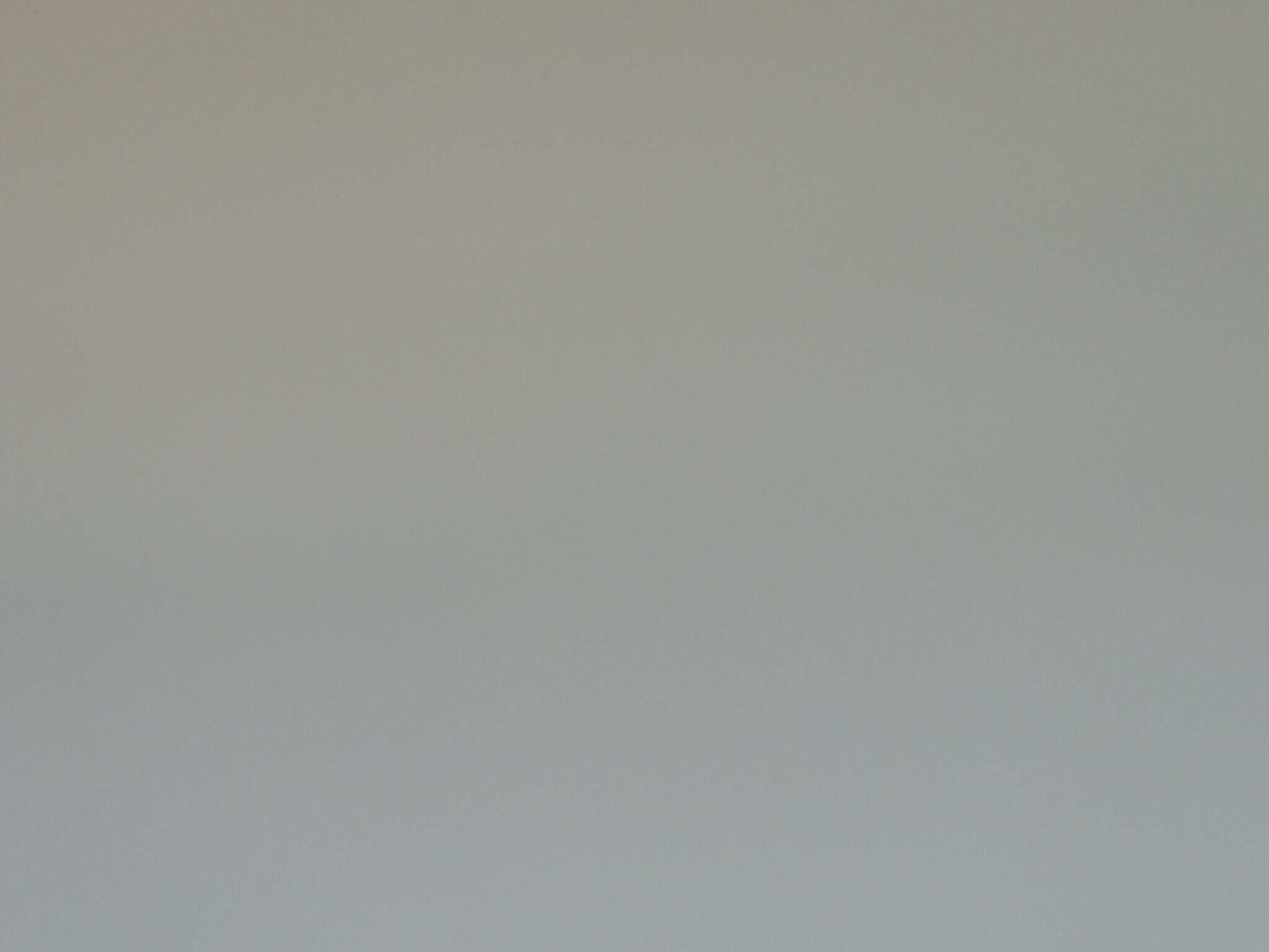 Building Photo - 4600 Duke St