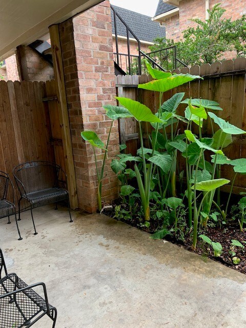 Building Photo - 1601 S Shepherd Dr