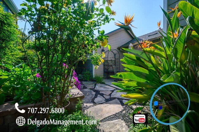 Building Photo - Mare Island! Large gorgeous home available now!