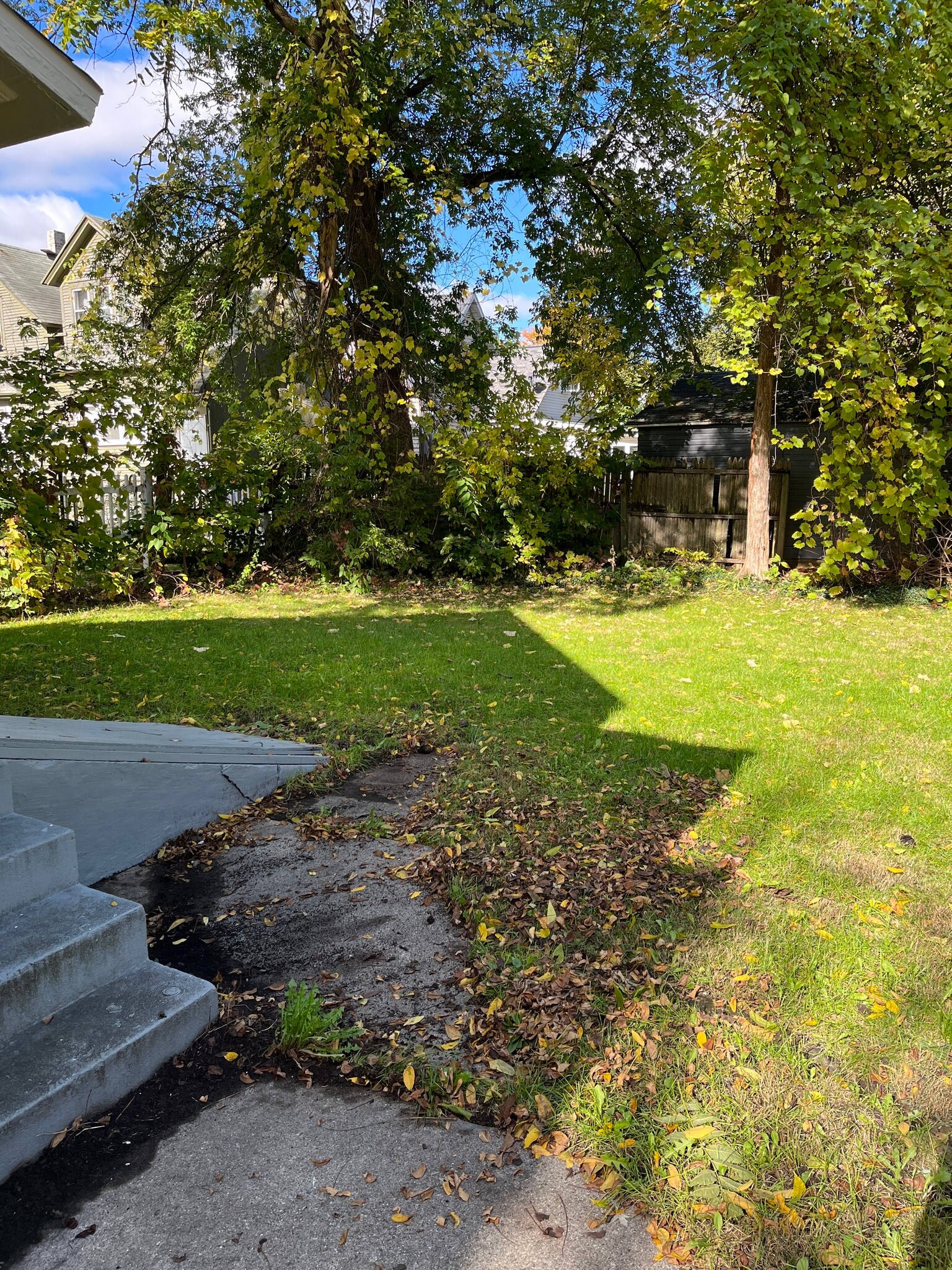 Back Yard - 825 10th St NW