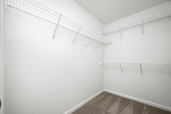 Building Photo - Curbo Ct 107