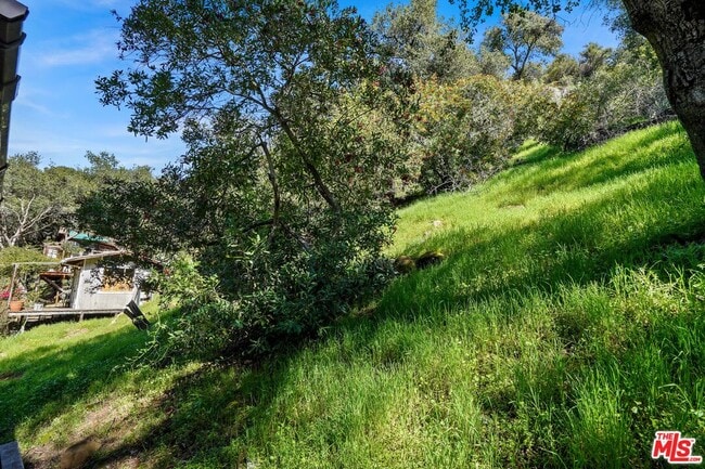 Building Photo - 764 Old Topanga Canyon Rd