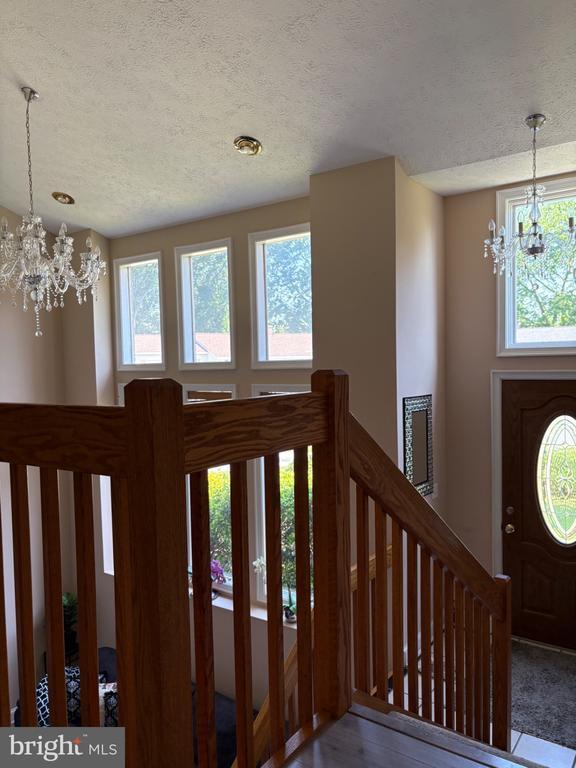 Building Photo - 803 Scott Cir