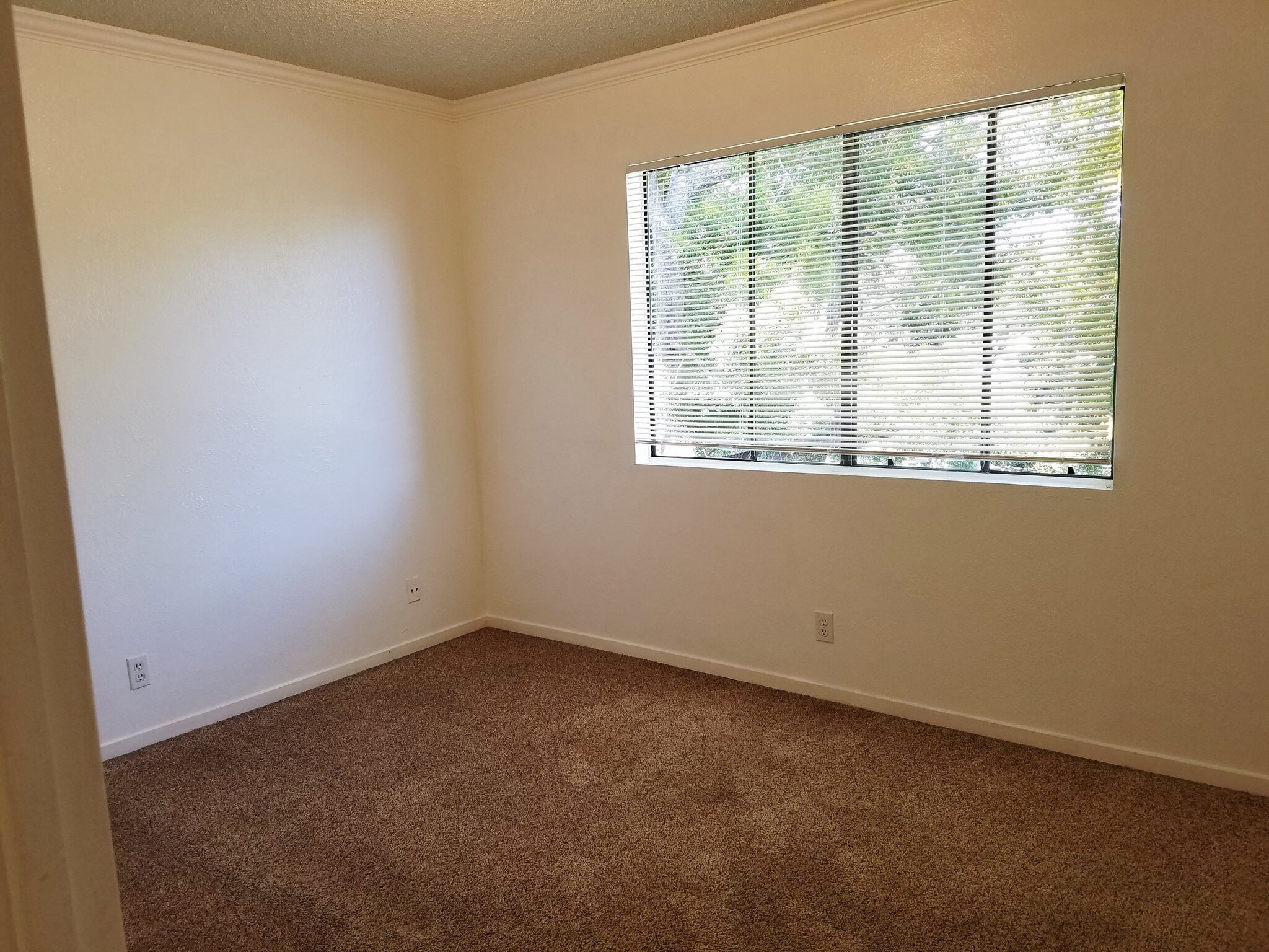 Building Photo - 1533 El Tigre Ct