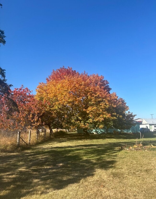 Building Photo - Lovely Kalispell home