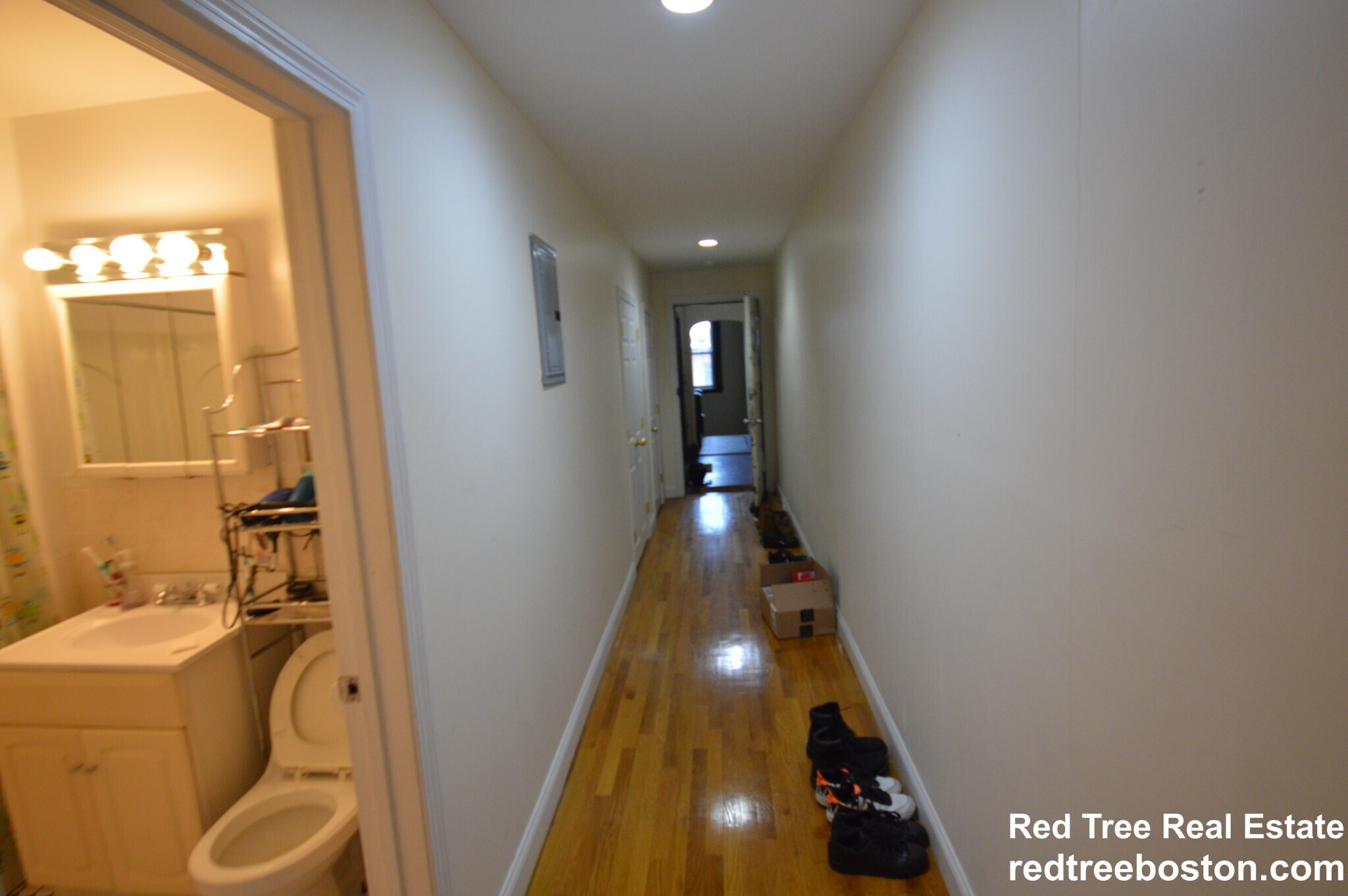 Building Photo - 66 Egmont St