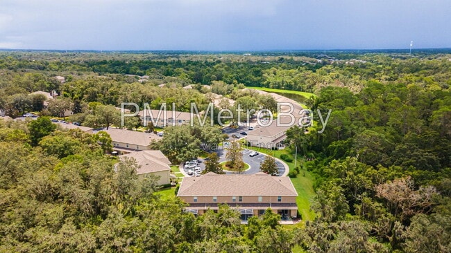 Building Photo - 15706 Fishhawk Falls Dr