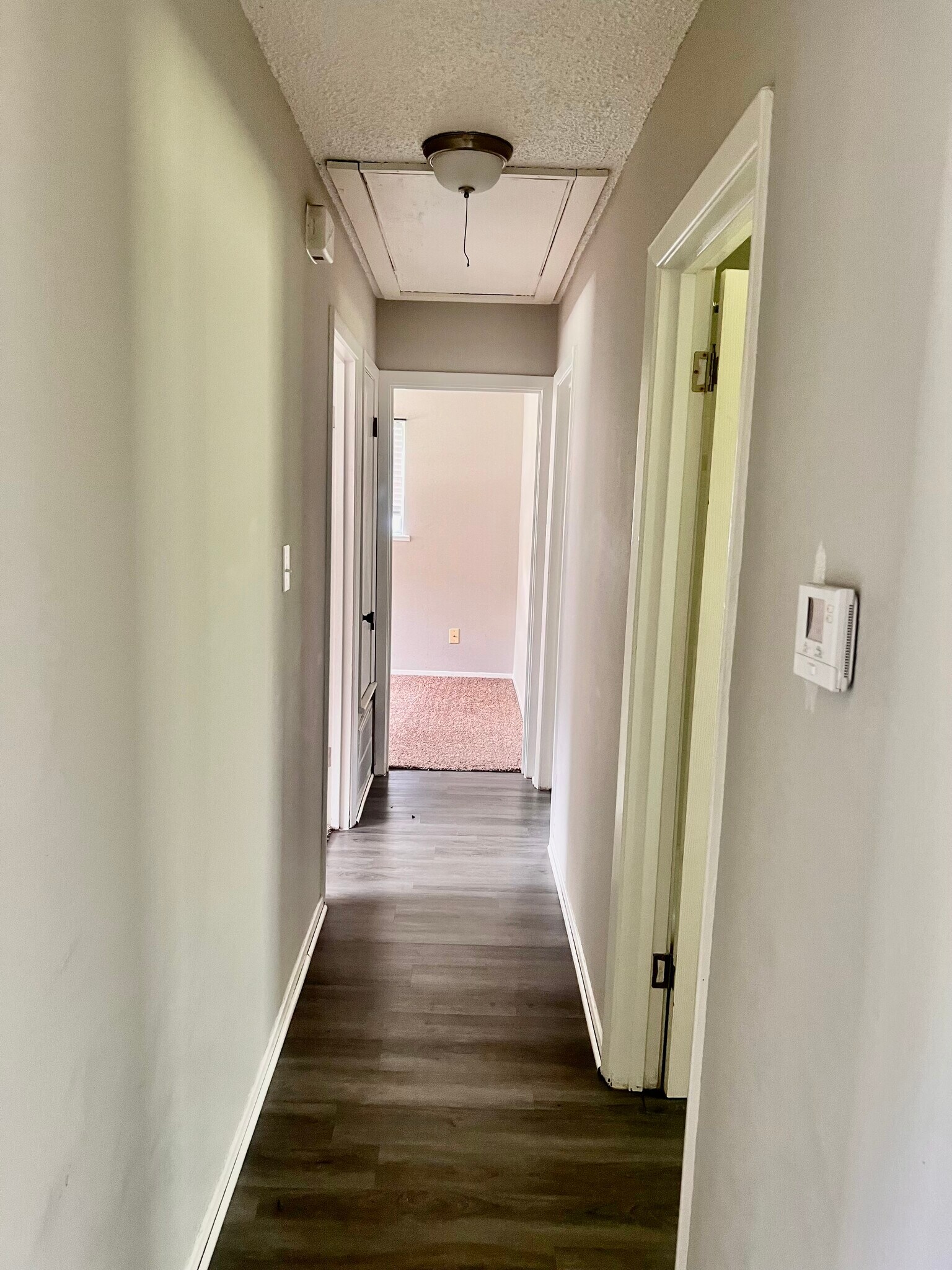 Building Photo - 311 Ivy St