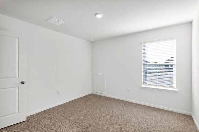 Building Photo - 2517 Violet Theo Ln