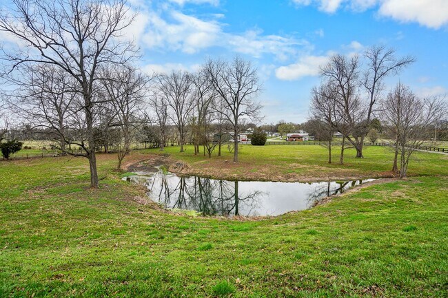 Building Photo - 251 Cheatham Springs Rd