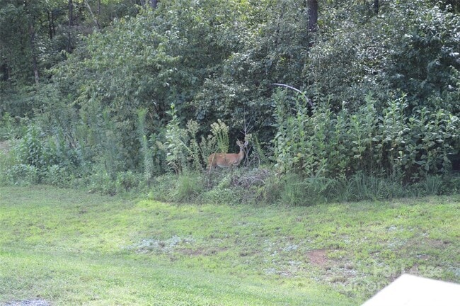 Building Photo - 132 Springfield Rd