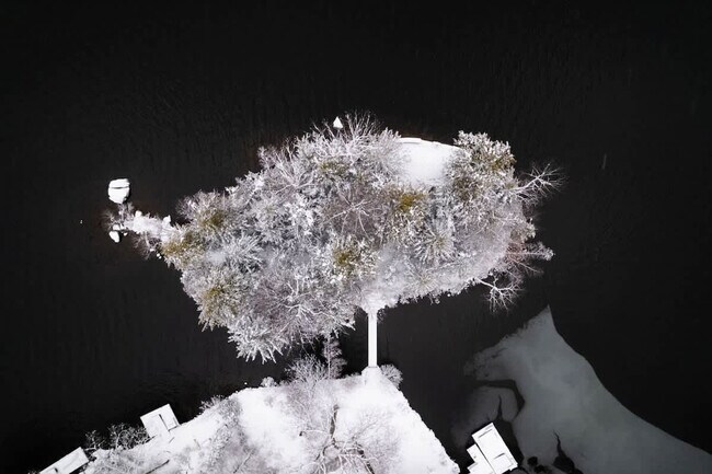 Building Photo - 2046 Lakeside Dr W