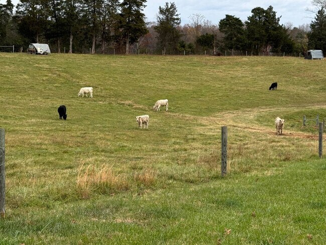 Building Photo - 16615 Spotswood Trail