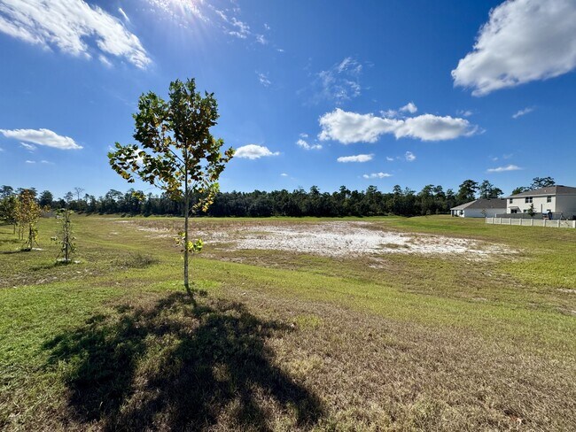 Building Photo - 11304 Timber Grv Ln